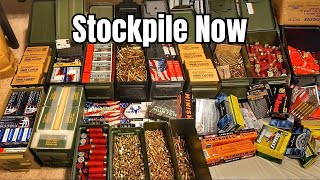 6 Calibers You NEED To Stockpile In 2024 [upl. by Durward325]