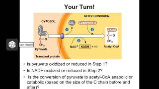 Catabolic amp Anabolic Reactions 1 [upl. by Saxet]