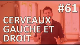 Cerveau Gauche vs Cerveau Droit  1jour1geste 61 [upl. by Nyrret]