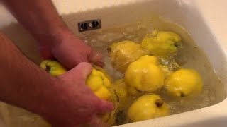 Comment faire de la gelée de coings  Quince jelly [upl. by Anaytat]