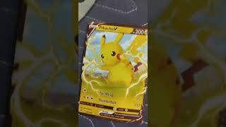 Pikachu vs raichu [upl. by Ingles]