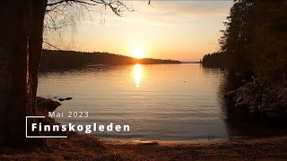 Finnskogleden Mitanderfors  Elgklinten mai 2023 [upl. by Atinreb]