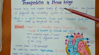 CLASS 10 NOTES  Human heart Double circulation  Chapter6 [upl. by Mayrim]