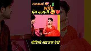 Husband amp wife Love Story  Hindi Prem Kahani  part 172 shorts ytshorts rekhakikahani [upl. by Penney]