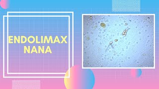 ENDOLIMAX NANA [upl. by Rickey]