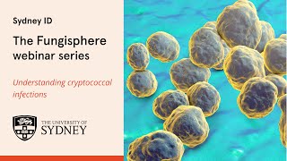 The Fungisphere  Understanding cryptococcal infections [upl. by Pierre]