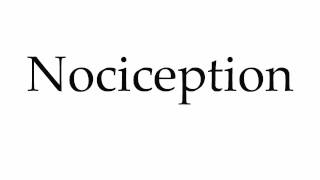 How to Pronounce Nociception [upl. by Johppah393]