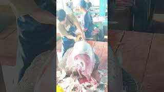 Amazing  tuna fish cutting skiil food fishcuttingskill seafood [upl. by Sosna667]