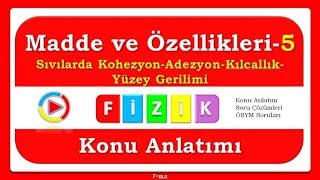 Madde ve Özellikleri5 KohezyonAdezyonKılcallıkYüzey Gerilimi  PDF [upl. by Eckhardt]