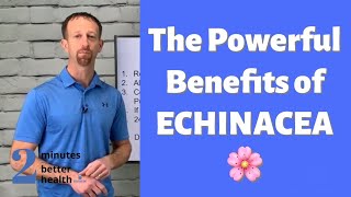 The Powerful Benefits of Echinacea  2 Minutes to Better Health [upl. by Vatsug404]