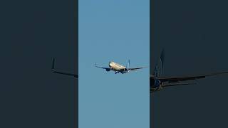 Boeing 767 landing gear drop plane planes boeing avgeek boeinglovers landing fypシ゚viral fyp [upl. by Yraeg]