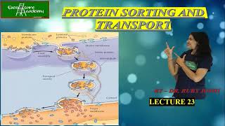 Endoplasmic Reticulum Lecture23 Cell Biology Protein sorting [upl. by Ragland463]