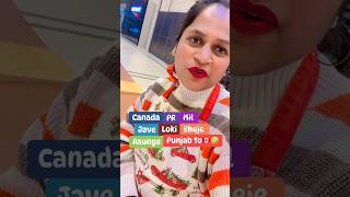 Canada PR ਮਿਲ ਜਾਵੇ ਲੋਕੀ ਭੇਜੇ ਆਉਣਗੇ 🇨🇦🍁। canada youtubeshorts thecanadavlogs [upl. by Oniratac]