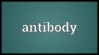 Antibody Meaning [upl. by Anahgem]