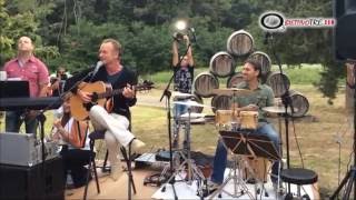 Sting live Message in a bottle a Il Palagio [upl. by Inaej700]