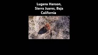 Laguna Hanson Ensenada BC [upl. by Gladys958]