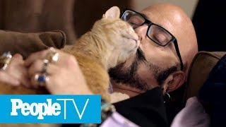 Jackson Galaxy Host Of My Cat From Hell Tells How Animals Changed His Life  Puparazzi  PeopleTV [upl. by Atekihs]