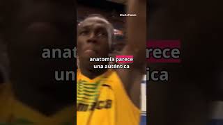 Como sería un Usain Bolt vs Guepardo ¡Carrera virtual de 100 metros lisos al LÍMITE [upl. by Fanchie]