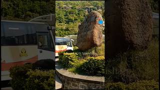 Ajanta Caves 🚌❤️  Travel With Manisha  ytshorts travel [upl. by Denzil177]