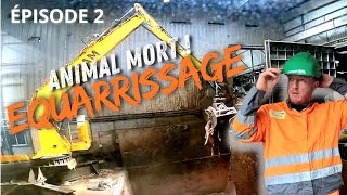 ANIMAL MORT EQUARRISSAGE  épisode 2 [upl. by Parhe]