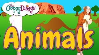 Animal Fun Childrens Song Kangaroo Jump Dancing Actions [upl. by Sesom589]