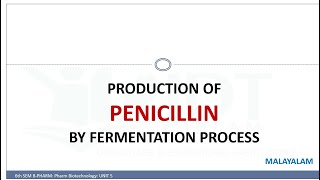 Production of PENICILLIN by fermentation process MALAYALAM [upl. by Idzik]