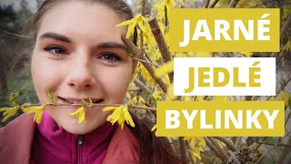 Zbieram jarné bylinky na jedenie [upl. by Ammamaria]