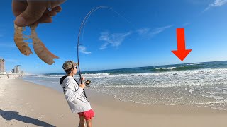 SURF FISHING on the ALABAMA GULF COAST Tips Tricks Techniques [upl. by Nuarb]