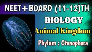 Phylum Ctenophora 👉🏻 Animal Kingdom education biology 11th [upl. by Dnomal353]