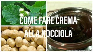 CREMA ALLA NOCCIOLA  Fai da te Cucina [upl. by Halimeda435]