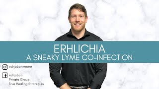 Ehrlichia  A Sneaky Lyme Coinfection [upl. by Yznyl]