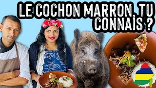 RESTAURANT Le CHAMAREL À L’ÎLE MAURICE  RECETTE MAURICIENNE DE SALMI COCHON MARRON amp REVIEW 🇲🇺 [upl. by Daigle]