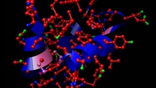 Chemie  Hormony a Enzymy [upl. by Tonnie]