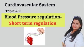 Short term regulation of blood pressure [upl. by Terrie656]