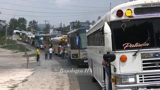 BUS BLUE BIRD HONDUREÑO PATUDA BLANCA GTA SAN ANDREAS PC🥷🇸🇻 [upl. by Ssidnak840]