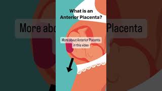 What is Anterior Placenta pregnant [upl. by Ynaffat]