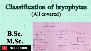 Classification of Bryophytes Detailed explanation Bryophyte Classification bsc botany bryophyte [upl. by Backer]