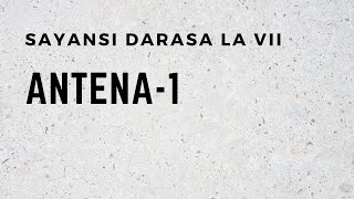 SAYANSI DARASA LA VII ANTENA 1 [upl. by Marshall]