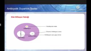 TEMEL VETERİNER MİKROBİYOLOJİ İMMÜNOLOJİ  Ünite4 Özet [upl. by Labana]