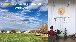 Agritopia an Agrihood in Gilbert Arizona [upl. by Arac]