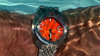 Doxa Sub 300T Unboxing and Review watchreviews doxa divewatch gear [upl. by Jabon681]