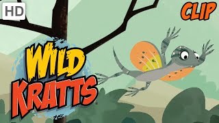 Wild Kratts  Exploring Animal Habitats [upl. by Janetta164]