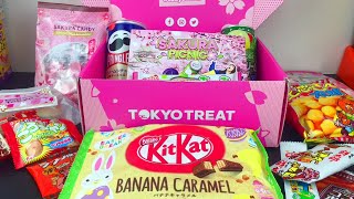 Tokyo Treat Japanese Snack Monthly Subscription Box Sakura Picnic Unboxing amp Tasting [upl. by Nnayd]