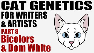 Cat Genetics for Writers amp Artists part 8 Bicolors amp Dominant White CC [upl. by Llehcsreh388]