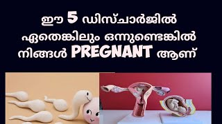 5 different types of early Pregnancy discharge Malayalam Deechus world [upl. by Hansiain456]