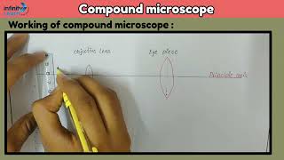 Compound microscope  In english amp hindi [upl. by Anivle342]