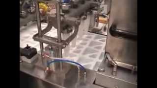 THERMOFORMING MACHINE FOR YOGHURT CUPS [upl. by Floss941]