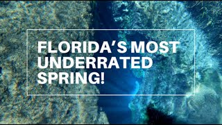 FLORIDA’S MOST UNDERRATED SPRING  Florida Springs  Ichetucknee Springs State Park [upl. by Hinman]