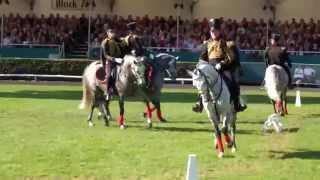 Lützower Jäger aus Redefin  Hengstparade Celle 03102015 [upl. by Epillihp]