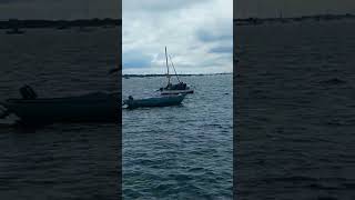 ALL AT SEA EMSWORTH HAMPSHIRE sea water boats [upl. by Lachish]